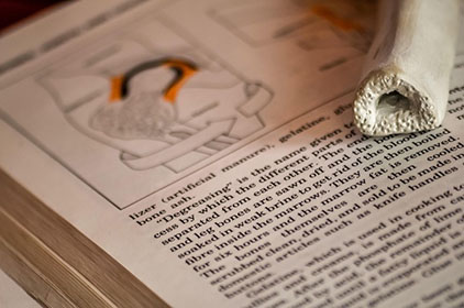 什么是零税率发票？零税率发票和免税发票的区别到底在哪