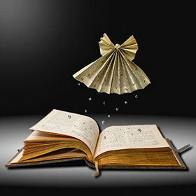 山东2026初级会计考试1月5日至1月27日报名！关注报名详细要求